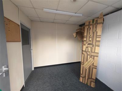 Picture 5